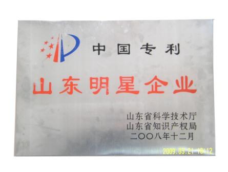 中國專利山東明星企業(yè)牌匾.jpg
